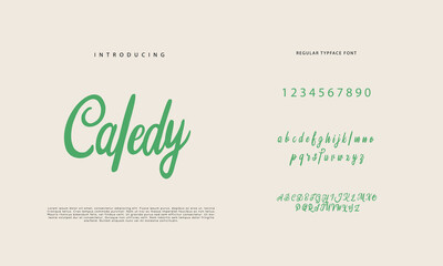 Handwritten Script font. Hand drawn brush style modern calligraphy cursive typeface. Hand Lettering and Custom Typography alphabet for Designs: Logo, Greeting Cards, Poster. Vector Brush type set.
