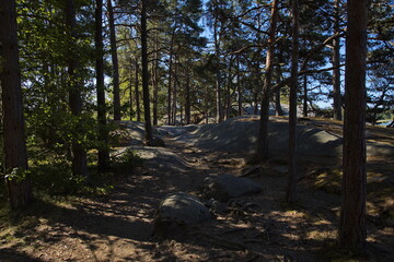 Hiking track on Stora Krokholmen in Stendörrens Naturreservat in Sweden, Europe
