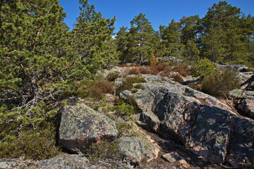 Big boulders on Stora Krokholmen in Stendörrens Naturreservat in Sweden, Europe
