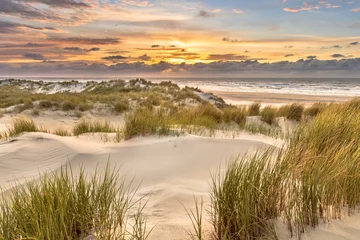 Foto op Aluminium Noordzee, Nederland View from dune top over North Sea
