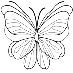 black and white butterfly