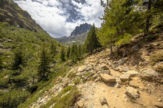 track through Restonica gorge