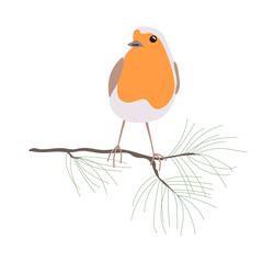 European robin sitting on the branch, vector isolated illustration