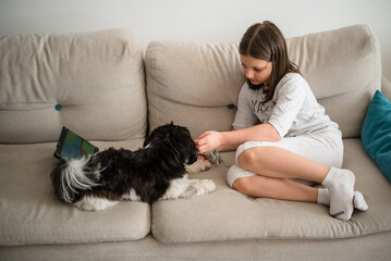 Girl with a dog. 9-Year-Old Girl Playing with Her Small Dog at Home
