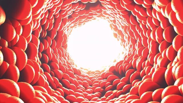 Flight through a blood vessel inside the human circulatory system
