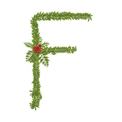 Letter F Christmas