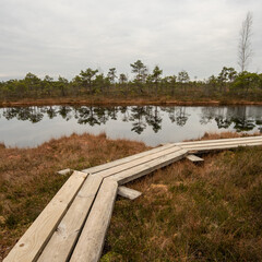 Fototapeta premium Rustic Refuge: Embrace Nature's Charm Along the Wooden Swamp Trail