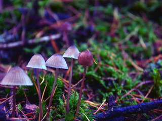 Herbst 2023