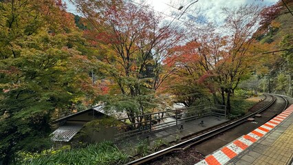 紅葉