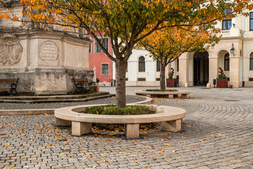 Fototapeta premium Trees in autumn color on the main square of Sopron, Hungary