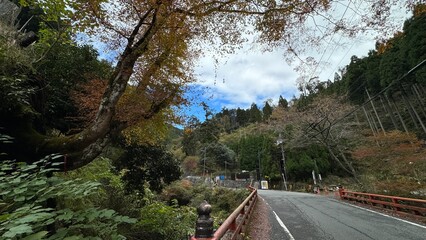 紅葉
