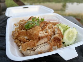 chicken with rice and vegetables in the plate
