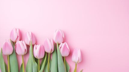 Pink tulips on pastel pink background, flatlay with copy space. Spring banner. International women's day, March 8, birthday, anniversary greeting card template