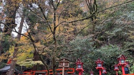 紅葉