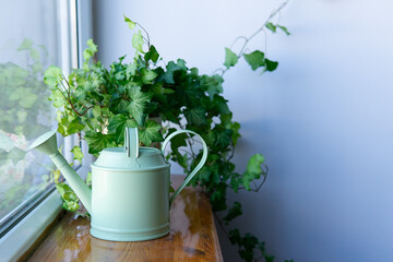 watering can for flowers on a wooden windowsill with white background