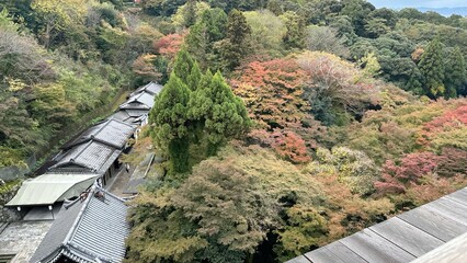 清水寺