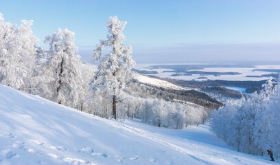 Aerial view in winter time from the top of the hill. Snow covered slope and trees on the hill in...