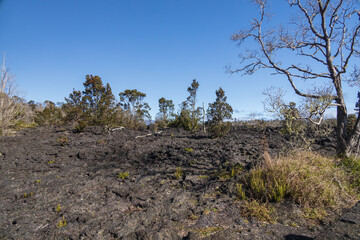 Lava flow on Hawai'i Volcanoes National Park