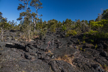 Volcano crater in Hawai'i volcanoes national park, Hawai'i