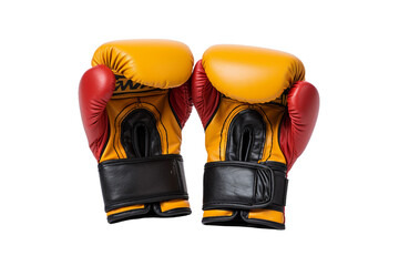 Isolated Sparring Gear on a transparent background