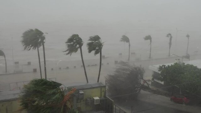 hurricane norma october 2023 la paz baja california sur mexico