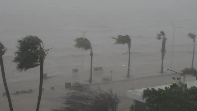 hurricane norma october 2023 la paz baja california sur mexico