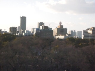 Fototapeta premium 大阪の町並み