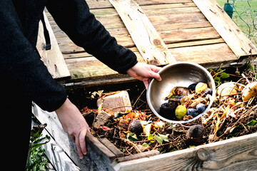 Person who put in a composter some kitchen waste like vegetables, fruits, eggshell, coffee grounds...