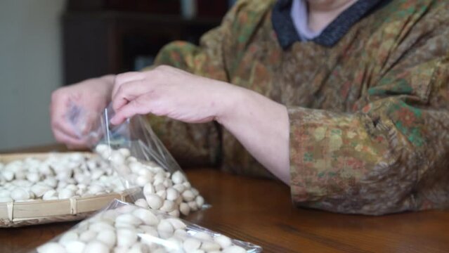 銀杏を小袋に入れる女性