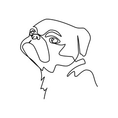 Pug vector illustration
