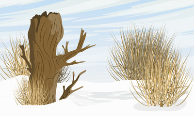 Winter meadow with snowdrifts, dry grass and stump. Realistic vector landscape