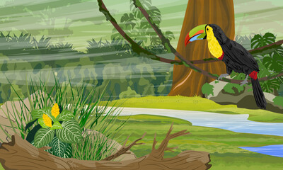 Keel-billed toucan sits on a vine over a stream. Jungle. Realistic vector landscape.