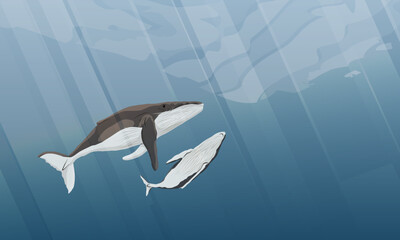A humpback whale and her calf swims in dark cold water. Secondary aquatic animals in their habitat. Realistic vector landscape