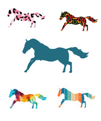 Obraz premium horse silhouette different