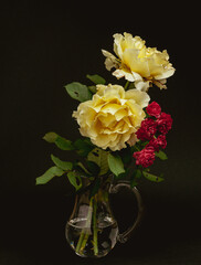 Some roses taken against different backgrounds