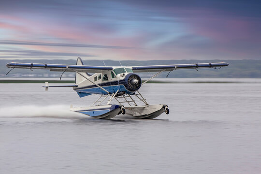 Beaver seaplane in take off