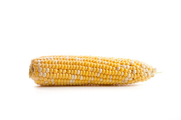 Sweet corn isolated on a white background..