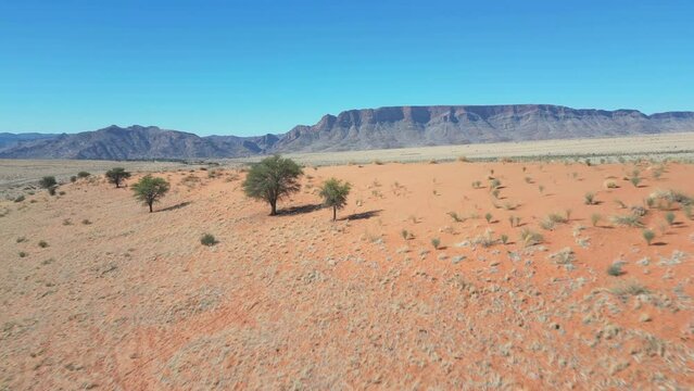Low pass over red sand dune ridge between short dry grass landscape, mountains behind