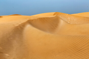 View of the golden sand dunes of the African desert.