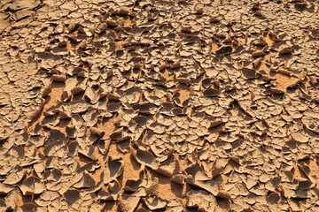 Lake area has turned into a desert due to climate change. Soil crusting due to drought.