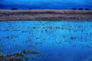 Area near Parnu bay in evening. It a bay in the northeastern part of the Gulf of Livonia (Gulf of...