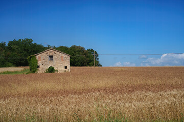 Rural landscape in Umbria near Casteltodino