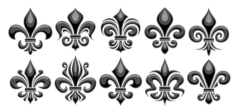 Vector Fleur de Lis set, horizontal banner with lot collection of 10 cut out illustrations of variety monochrome fleur de lis lily, group of many various antique monarchy symbols on white background