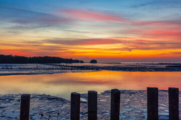 Sea coast and mangrove forest in the morning,Sea view near mangrove forest with man made wooden barrier for wave protection, under morning twilight colorful sky in Bangkok, Thailand