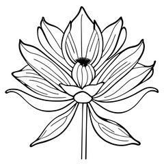 black and white lotus