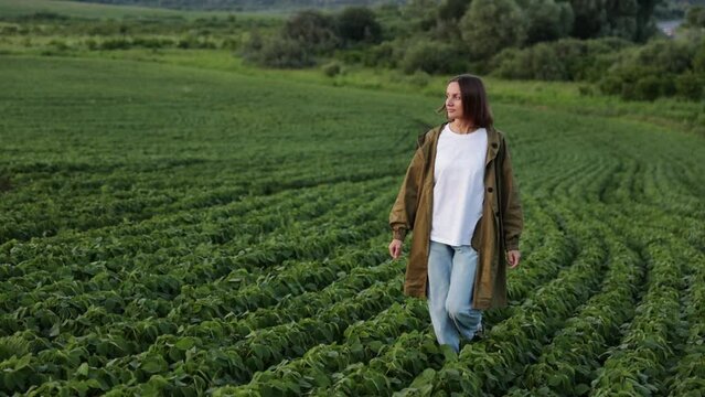 Soybean agribusiness. Young female farmer walks and examines plantation with green soya plants. Agronomist controls, checks soya cultivation and future organic harvest. Agriculture farming concept