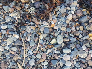 Rocks