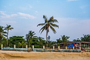 coconut trees on ocean coast near tropical shack or open cafe on beach with sunbeds