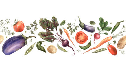 Hand drawn watercolor vegetables. Seamless border on a white background. Use in design, cards, brochures, packaging, fabric, menus, cookbooks.