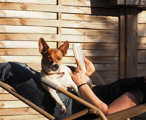 Cute Jack Russell Terrier on a sun lounger with his human friend taking a break and enjoying the sun